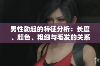 男性勃起的特征分析：长度、颜色、粗细与毛发的关系探讨