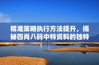 精准策略执行方法提升，揭秘四肖八码中特资料的独特精选技巧