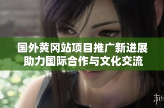 国外黄冈站项目推广新进展 助力国际合作与文化交流