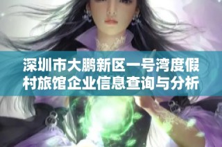 深圳市大鹏新区一号湾度假村旅馆企业信息查询与分析