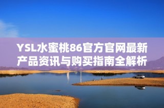 YSL水蜜桃86官方官网最新产品资讯与购买指南全解析