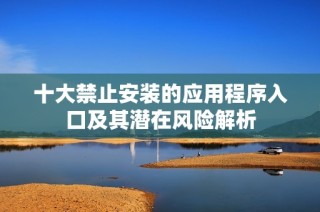 十大禁止安装的应用程序入口及其潜在风险解析