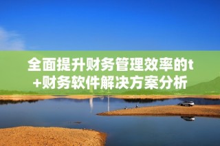 全面提升财务管理效率的t+财务软件解决方案分析