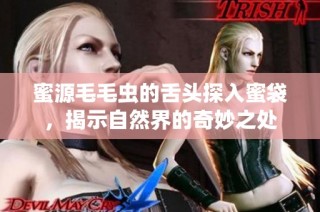 蜜源毛毛虫的舌头探入蜜袋，揭示自然界的奇妙之处