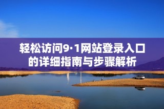 轻松访问9·1网站登录入口的详细指南与步骤解析