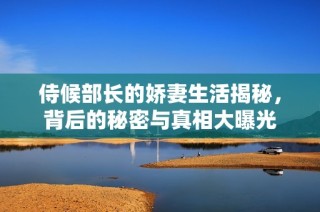 侍候部长的娇妻生活揭秘，背后的秘密与真相大曝光