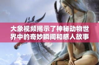大象视频揭示了神秘动物世界中的奇妙瞬间和感人故事