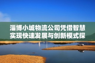 淄博小城物流公司凭借智慧实现快速发展与创新模式探秘