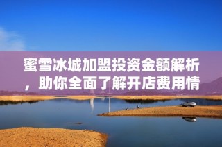 蜜雪冰城加盟投资金额解析，助你全面了解开店费用情况