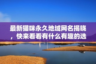 最新猫咪永久地域网名揭晓，快来看看有什么有趣的选择吧