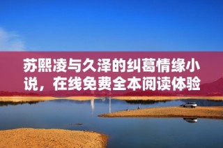 苏熙凌与久泽的纠葛情缘小说，在线免费全本阅读体验分享