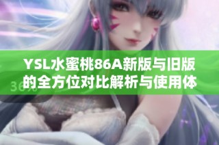 YSL水蜜桃86A新版与旧版的全方位对比解析与使用体验分享