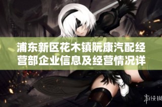 浦东新区花木镇阮康汽配经营部企业信息及经营情况详解