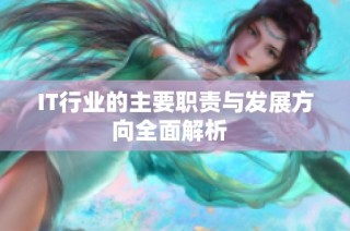 IT行业的主要职责与发展方向全面解析  