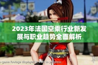 2023年法国空乘行业新发展与职业趋势全面解析