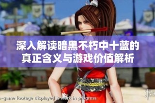 深入解读暗黑不朽中十蓝的真正含义与游戏价值解析