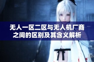无人一区二区与无人机厂商之间的区别及其含义解析