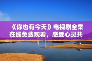《你也有今天》电视剧全集在线免费观看，感受心灵共鸣与生活哲理