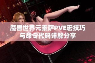 魔兽世界元素萨PVE宏技巧与命令代码详解分享