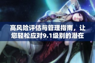 高风险评估与管理指南，让您轻松应对9.1级别的潜在威胁
