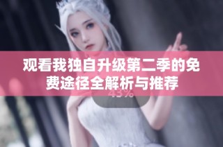 观看我独自升级第二季的免费途径全解析与推荐