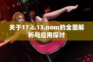 关于17.c.13.nom的全面解析与应用探讨