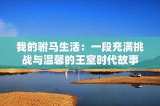 我的驸马生活：一段充满挑战与温馨的王室时代故事