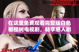 在这里免费观看完整版白色橄榄树电视剧，畅享感人剧情与精彩表演