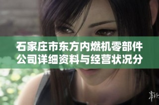 石家庄市东方内燃机零部件公司详细资料与经营状况分析