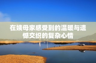 在姨母家感受到的温暖与遗憾交织的复杂心情
