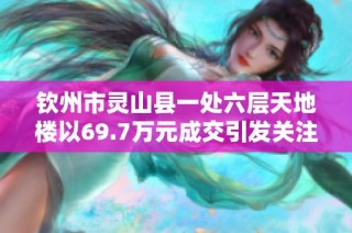钦州市灵山县一处六层天地楼以69.7万元成交引发关注