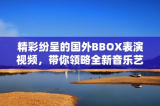 精彩纷呈的国外BBOX表演视频，带你领略全新音乐艺术魅力