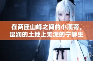 在两座山峰之间的小溪旁，湿润的土地上无泥的宁静生活