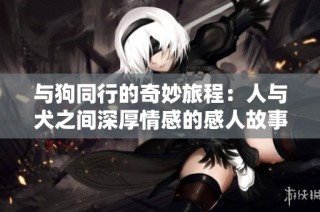 与狗同行的奇妙旅程：人与犬之间深厚情感的感人故事