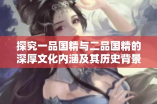 探究一品国精与二品国精的深厚文化内涵及其历史背景解析