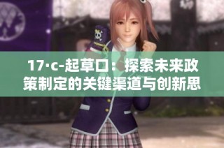 17·c-起草口：探索未来政策制定的关键渠道与创新思维