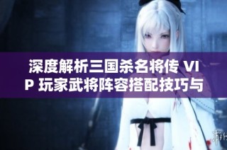 深度解析三国杀名将传 VIP 玩家武将阵容搭配技巧与心得