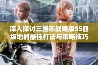 深入探讨三国志战略版S5四级地的最佳打法与策略技巧