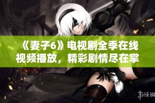 《妻子6》电视剧全季在线视频播放，精彩剧情尽在掌握中