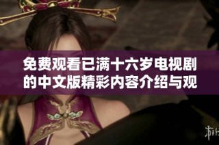 免费观看已满十六岁电视剧的中文版精彩内容介绍与观看指南