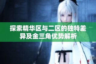 探索精华区与二区的独特差异及金三角优势解析
