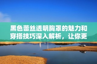 黑色蕾丝透明胸罩的魅力和穿搭技巧深入解析，让你更自信投入每一天
