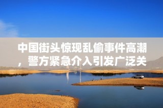 中国街头惊现乱偷事件高潮，警方紧急介入引发广泛关注