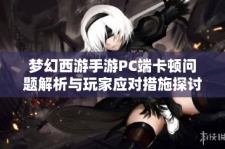 梦幻西游手游PC端卡顿问题解析与玩家应对措施探讨