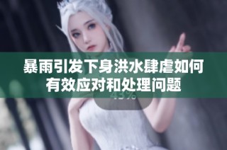 暴雨引发下身洪水肆虐如何有效应对和处理问题