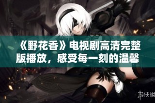 《野花香》电视剧高清完整版播放，感受每一刻的温馨与精彩