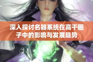 深入探讨名器系统在高干圈子中的影响与发展趋势