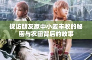 探访朋友家中小麦丰收的秘密与农田背后的故事