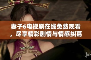 妻子6电视剧在线免费观看，尽享精彩剧情与情感纠葛