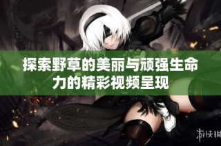 探索野草的美丽与顽强生命力的精彩视频呈现